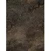 Мрамор Brown Fantasy